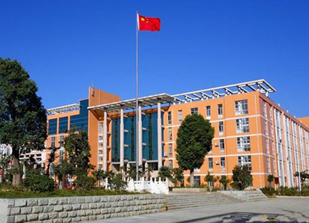 基本的意思解释 基本造句 近义词反义词