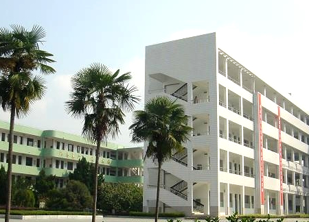 岁月的意思解释 岁月造句 近义词